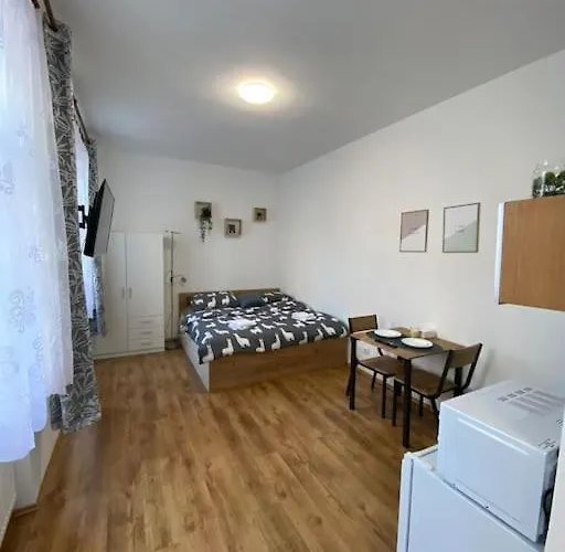 Cozy 1 Bedroom Studio In The Center Of Pilsen