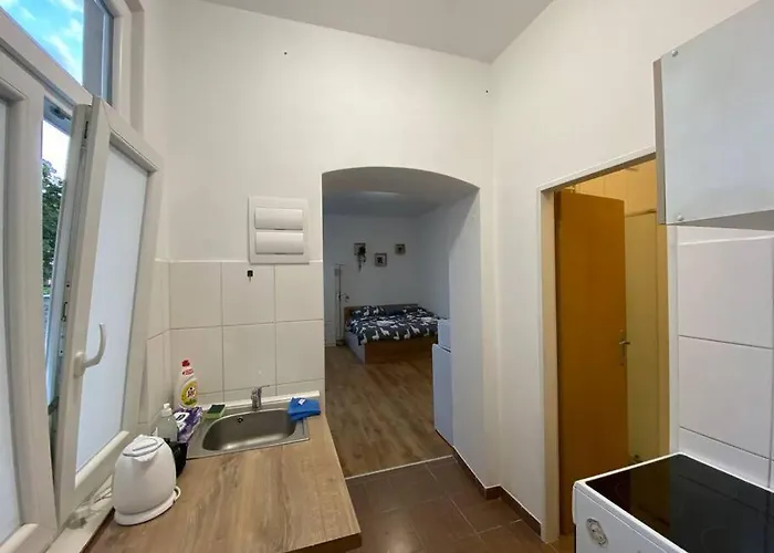 Cozy 1 Bedroom Studio In The Center Of Pilsen