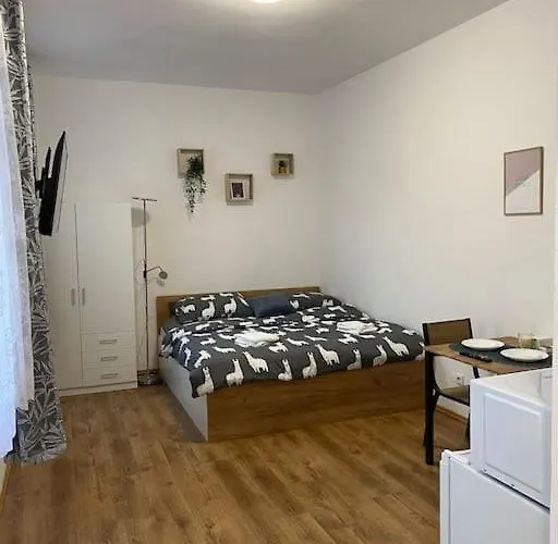 Cozy 1 Bedroom Studio In The Center Of Pilsen
