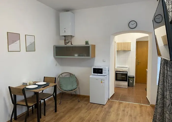 Cozy 1 Bedroom Studio In The Center Of Pilsen