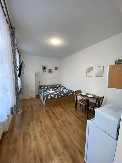Cozy 1 Bedroom In The Center Of Plzen