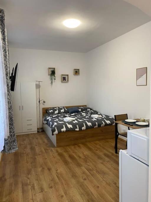 Apartment Cozy 1 Bedroom In The Center Of Plzen